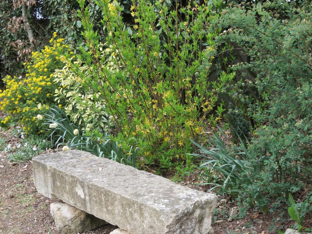 לינה וארוחת בוקר Saint-Aubin-la-Plaine L'Aubinoise מראה חיצוני תמונה